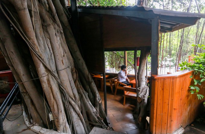 20180812155103 388d Độc đáo quán cà phê trên cây ở Sài Gòn