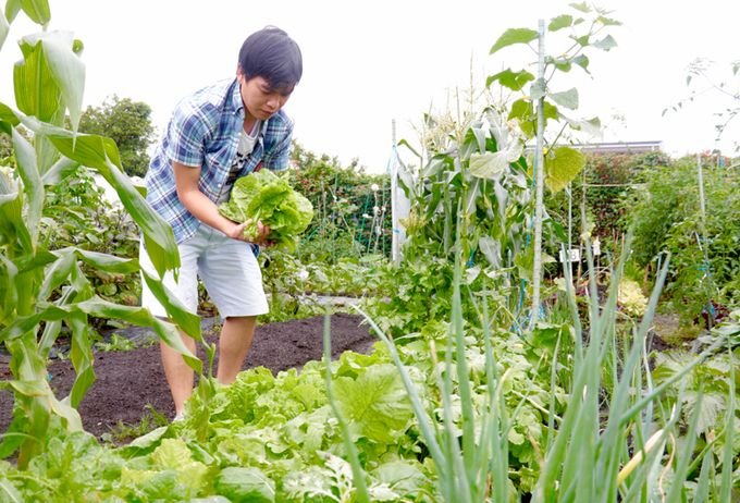 a10 1563529656 680x0 Kỹ sư Việt thuê đất làm vườn nhà, lập hội nông dân ở Nhật